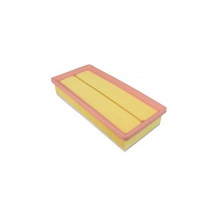 Free Sample Air Filter C38130 for Peugeot/Citroen 1444.QW 1444 QX 1444.EQ