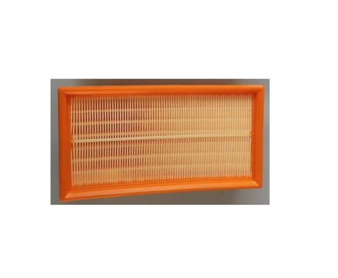 Free Sample Air Filter C38130 for Peugeot/Citroen 1444.QW 1444 QX 1444.EQ
