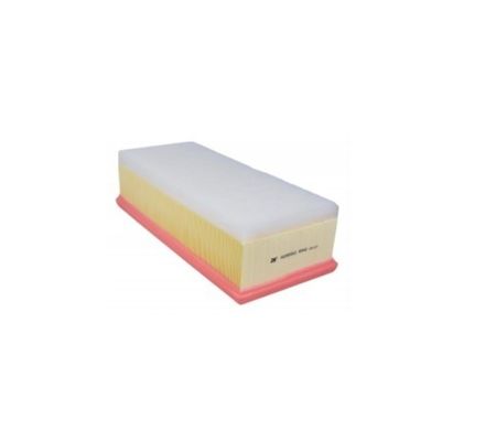 Free Sample Air Filter C38130 for Peugeot/Citroen 1444.QW 1444 QX 1444.EQ