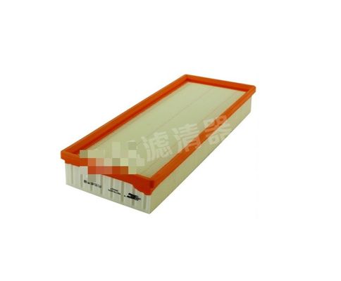 Free Sample Air Filter C38130 for Peugeot/Citroen 1444.QW 1444 QX 1444.EQ