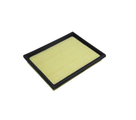 3027900 Air Filter for Buick/GM 96827723 96628890 92066873 21999324 OEM Guaranteed