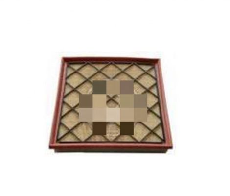 Car Air Filter for Buick/GM 13272719 13272717 25098463 25098459 A1163C 93321112 2012-2016