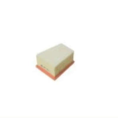 Enhance Your Renault's Engine with 16546-00QAU 4408341 Air Filter Replacement