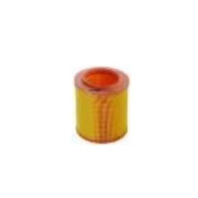 Renault C1145/4 7701039857 7701043709 C18121 7700957336 7701033713 C16113 7701034705 Air Filter Replacement