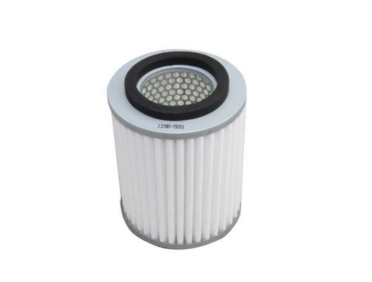 BUICK/GM Car Air Filter Replacement 13780-79201 C1380/113780-79100 13780-79210 17801-87804