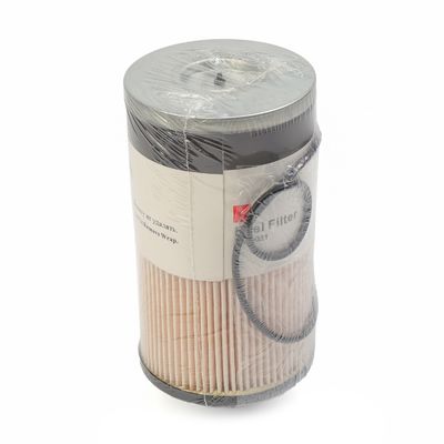 FS20021 Truck Fuel Filter Element for Truck Engine with Installation Notes for Safety and Depressurization Instructions